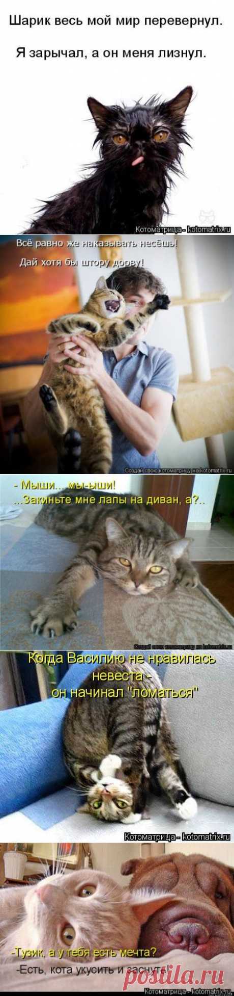 Группа оперативного реагирования (котоматрица)