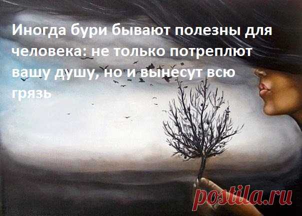 Иногда бури бывают полезны для человека: не только потреплют вашу душу, но и вынесут всю грязь. | Мир позитивных новостей