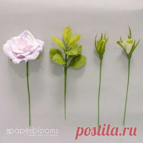 Assembling these elements to make a boutonnière for a year-end wedding
#ThePaperblooms #papercraft #paperflowers #paperflowerphilippines #paperflowerph #batangaspaperflowers #promotelocal