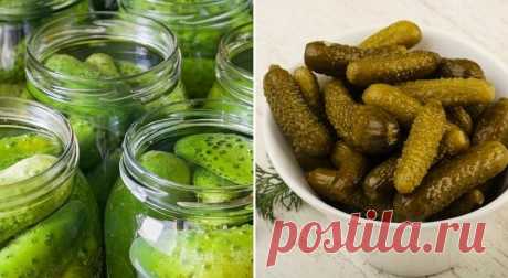 Вкусные огурцы по-болгарски по рецепту из детства