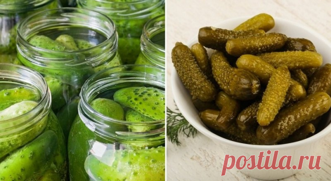 Вкусные огурцы по-болгарски по рецепту из детства
