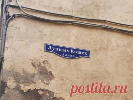 А вы знали о существовании таких улиц в Петербурге? | Редактор из Петербурга | Яндекс Дзен