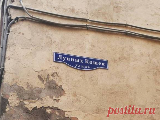А вы знали о существовании таких улиц в Петербурге? | Редактор из Петербурга | Яндекс Дзен