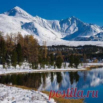 Одноклассники