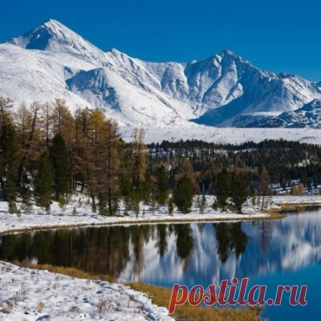 Одноклассники