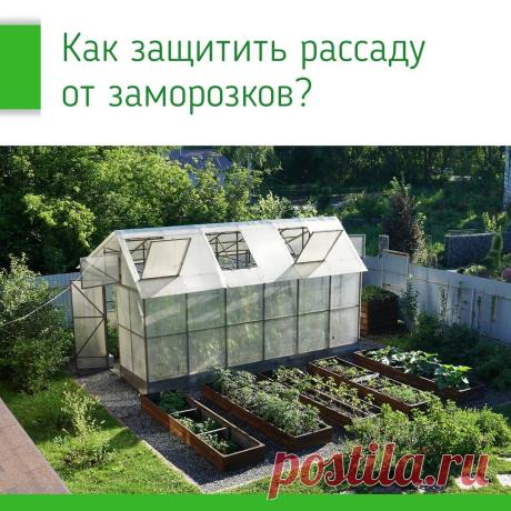 КАК ЗАЩИТИТЬ РАССАДУ ОТ ЗАМОРОЗКОВ

Вы сделали ранние садовые посадки в теплице или в открытом грунте под укрывным материалом. Днем все хорошо, растения получают достаточно тепла и хорошо развиваются. Однако ночью не все так гладко. Температура воздуха в теплице ночью всего на 2-3 градуса выше, чем окружающего воздуха. 

А если сильный возвратный заморозок? Растения в таком случае замерзнут и в теплице. Что делать? Топить печь? Не выход – многие садоводы приезжают на дачу ...
