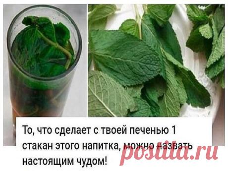 Освежающий напиток, с пользой для печени!

Если печень перегружена или плохо работает, мы сразу же это чувствуем. Слабость, нехватка энергии, головокружение, тошнота, боль в правом подреберье, проблемы с пищеварением и кожная сыпь — всё это признаки того, что с печенью непорядок.
Показать полностью…