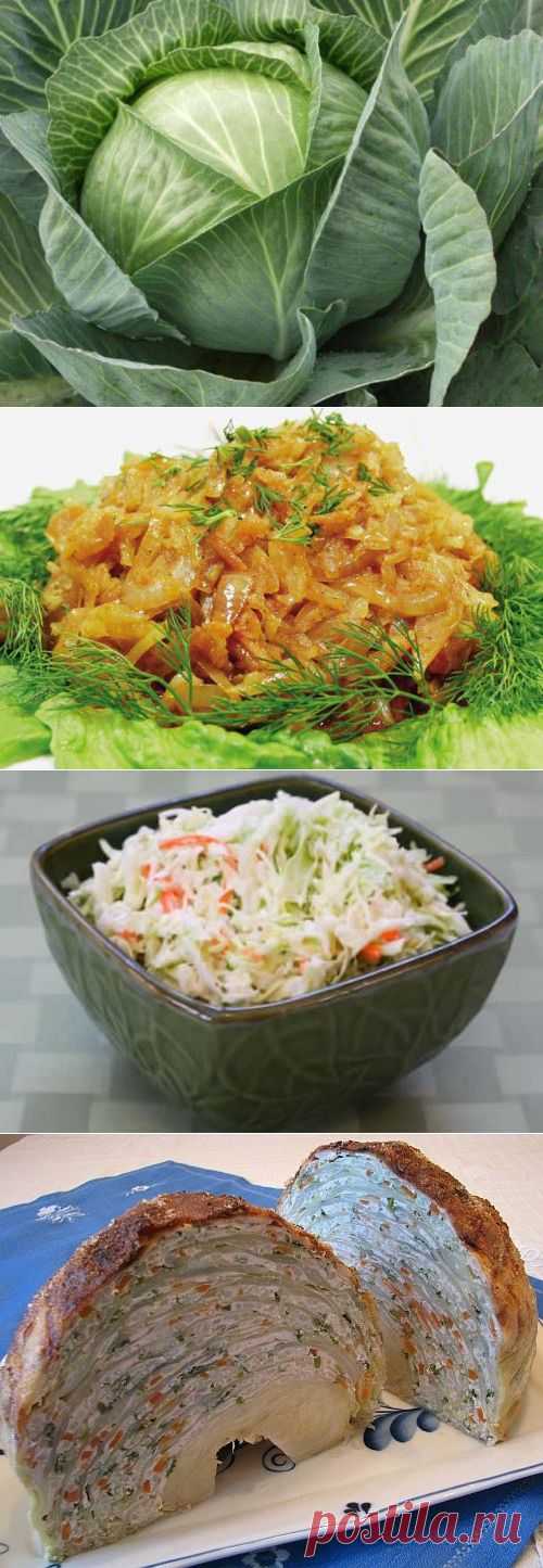 Капуста в разных кухнях мира: вкусные и интересные блюда | ЖЕНСКИЙ МИР