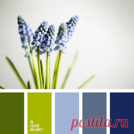 Цветовые сочетания
Холодные оттенки