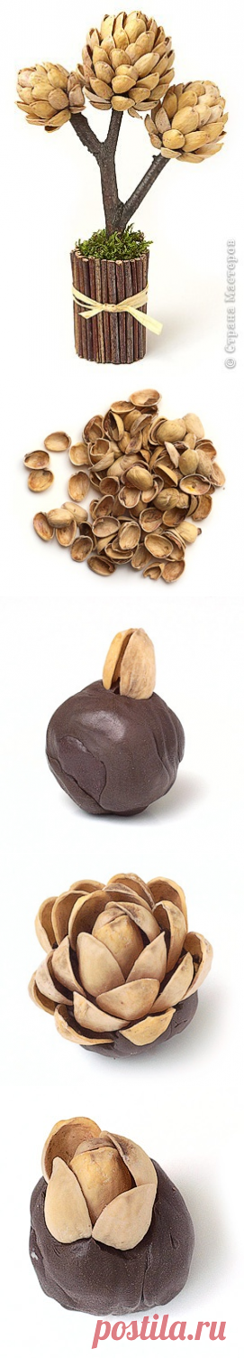 Топиарий "Фисташковое дерево" — Сделай сам, идеи для творчества - DIY Ideas