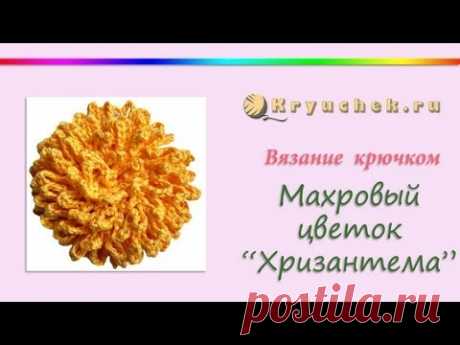 Связанный крючком махровый цветок &quot;Хризантема&quot; (Crocheted flower terry &quot;Chrysanthemum&quot;) - YouTube