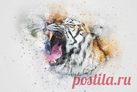 Тигр Рев Животных - Бесплатное изображение на Pixabay