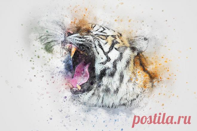 Тигр Рев Животных - Бесплатное изображение на Pixabay