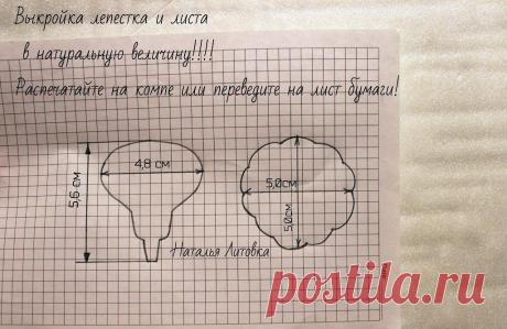 Фоамиран. Секреты мастерства.Цветы.Мастер-классы