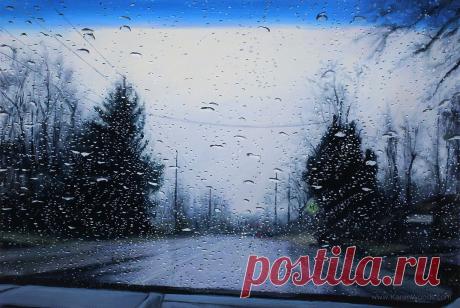 Художн. Карен Вудс: 280 изображений найдено в Яндекс.Картинках