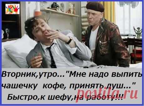 Новости
