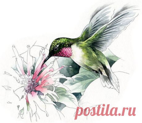 Pinterest: инструмент для поиска и хранения интересных идей