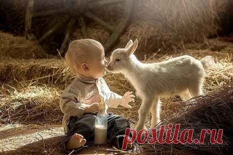 (51) Одноклассники