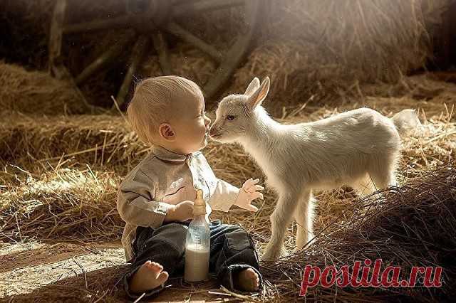 (51) Одноклассники