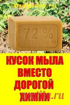📌ПРОСТОЙ КУСОК МЫЛА ВМЕСТО ДОРОГОЙ ХИМИИ В САДУ И ОГОРОДЕ🌱
; Открывает новую вкладку
✅Как эффективно использовать мыло в саду и огороде вместо дорогой химии. Щадящие методы. Хозяйственное мыло от тли, против паутинного клеща, хороший фунгицид, против мучнистой росы, .от гусениц капустной белянки. Рецепт средства против тли из хозяйственного мыла. Средство от серой гнили клубники. Хозяйственное мыло — хороший прилипатель и хорошее дезинфицирующее средство. #садоводство #Pin on Дача, сад, огород