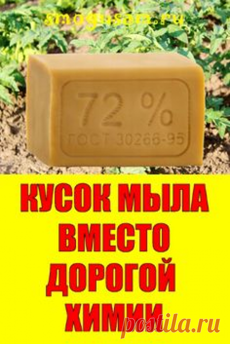 📌ПРОСТОЙ КУСОК МЫЛА ВМЕСТО ДОРОГОЙ ХИМИИ В САДУ И ОГОРОДЕ🌱
; Открывает новую вкладку
✅Как эффективно использовать мыло в саду и огороде вместо дорогой химии. Щадящие методы. Хозяйственное мыло от тли, против паутинного клеща, хороший фунгицид, против мучнистой росы, .от гусениц капустной белянки. Рецепт средства против тли из хозяйственного мыла. Средство от серой гнили клубники. Хозяйственное мыло — хороший прилипатель и хорошее дезинфицирующее средство. #садоводство #Pin on Дача, сад, огород