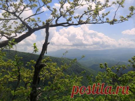 В поисках лучшей фотографии - 14 Декабря 2017 - Персональный сайт