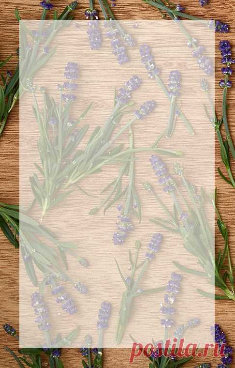 Расслабление - Лаванда | Oriflame Cosmetics