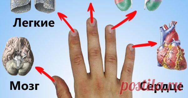 Каждый палец сопряжен с двумя органами: японский метод излечит за 5 минут любую хворь! — МИР ВОКРУГ