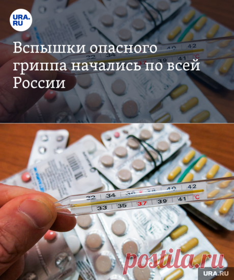 21-12-23--Грипп А: опасность заражения, летальность — инфекционист