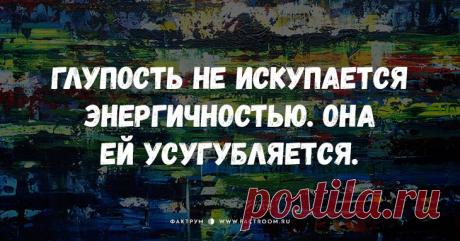 Остроумные открытки с короткими шутками на злобу дня