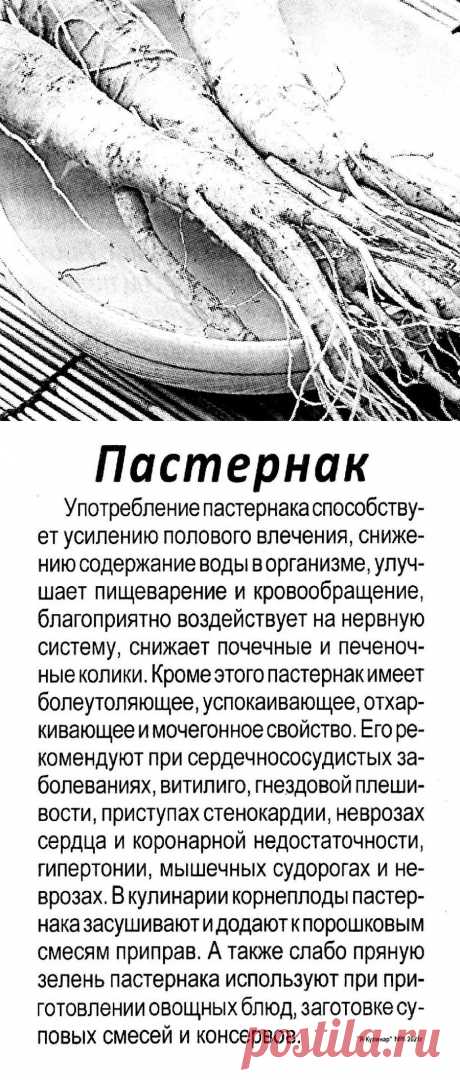 Пастернак - полезные свойства