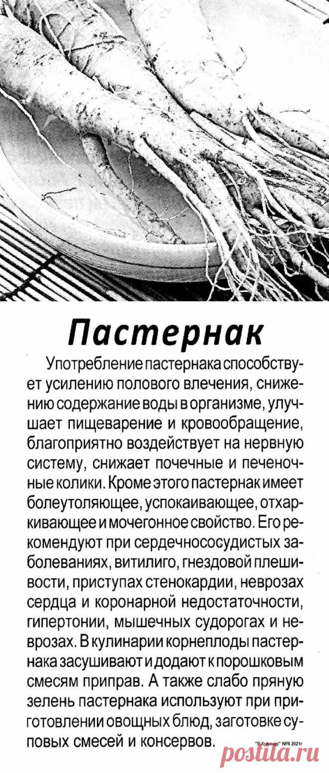 Пастернак - полезные свойства