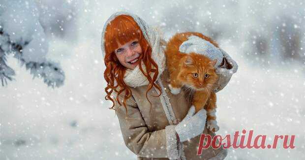 (48) 10 важных фактов о холоде, которые объяснят, почему одни мерзнут, а другие нет - ПолонСил.ру - социальная сеть здоровья - 31 января - 43885665572 - Медиаплатформа МирТесен Люди относятся к холоду по-разному. Одни без проблем бегают по морозу в рубашке и натираются после бани снегом, а другие стараются зимой лишний раз не выходить из дома. Почему люди, устроенные одинаково и живущие в одном и том же климате, так разнообразно реагируют на низкие температуры? На то, как ...