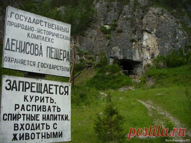 Артефакты Тартарии, которые скрывают от нас и периодически уничтожают! Алтайская «женщина Икс» и её иголка для шитья 
Немецкие антропологи открыли новый вид человека, жившего на Алтае более 200 000 тысяч лет назад.Пока нового собрата современных людей называют Денисов – в честь названия пещеры на Алтае , где были об…