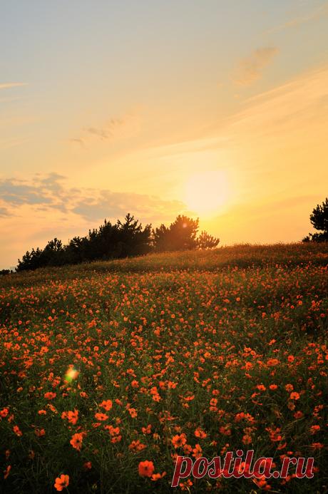 All sizes | Untitled | Flickr - Photo Sharing!