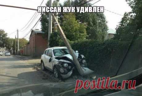 И где были глаза у жука......