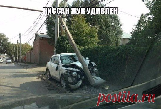 И где были глаза у жука......