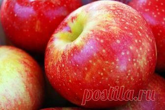 20 Суперпродуктов для тех, кому за 50 Хотите быть всегда в тонусе? Если вам больше 50 лет, то нужно включить эти продукты в свой рацион. Независимо от того, сколько вам лет, нужно серьезно относиться к выбору продуктов. А когда вы достига...