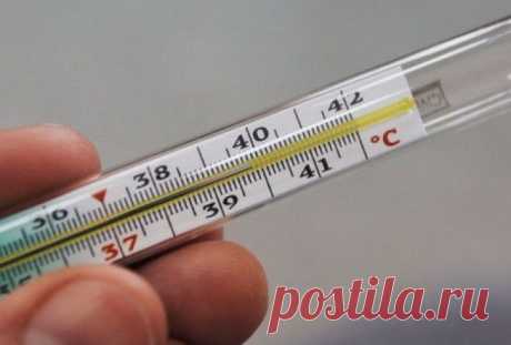 Чтобы проверить свою щитовидку, нужен только градусник Полезно знать



Мало кто об этом знает, но еще 50 лет назад ученый Брода Отто Барнс обнаружил, что температура тела — отличный индикатор того, как работает ваша щитовидная железа.Есть только один нюа…