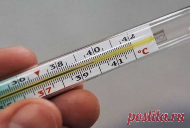 Чтобы проверить свою щитовидку, нужен только градусник Полезно знать

Мало кто об этом знает, но еще 50 лет назад ученый Брода Отто Барнс обнаружил, что температура тела — отличный индикатор того, как работает ваша щитовидная железа.Есть только один нюанс…