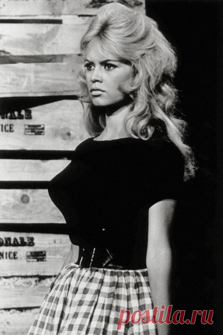 Бриджит Бардо: фото и биография суперзвезды и секс-бомбы 50-х | GQ | Девушки | Увлечения | Мужской журнал GQ