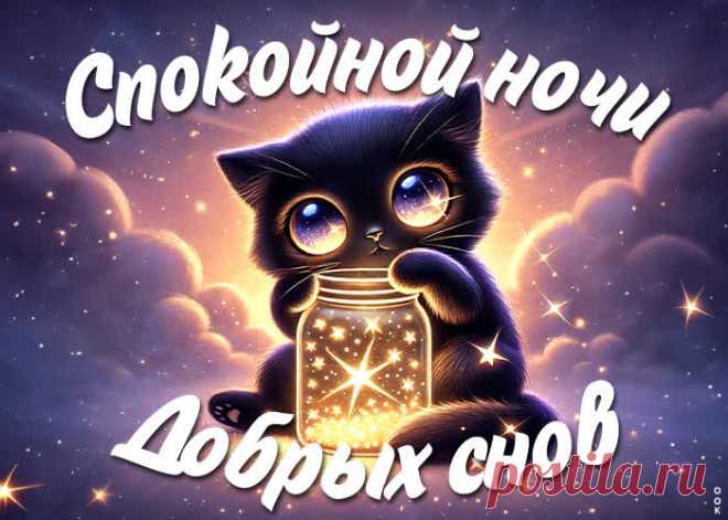 Спокойной ночи я желаю,
Пусть дарит ночь души покой.
И сном спокойным наслаждаясь,
Гони тревоги ты долой.