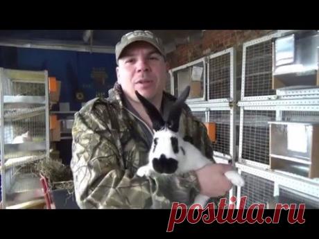 Кролики в 3 месяца 4кг. !!!