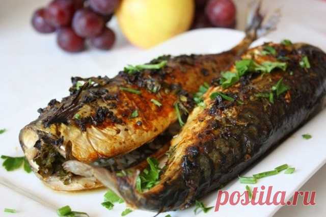 Скумбрия с зеленью в духовке — Домашняя кулинария