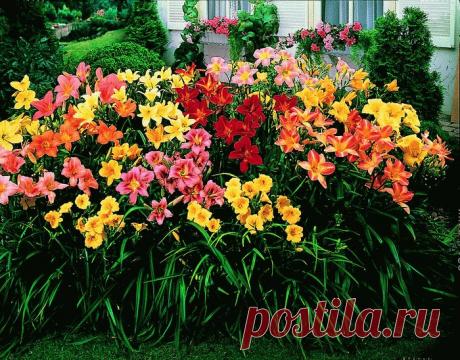 Чёрная магия сильнейшие заговоры