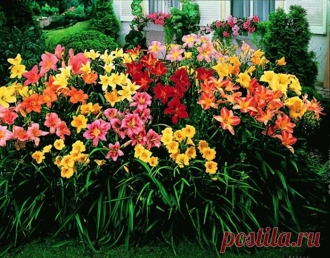 Чёрная магия сильнейшие заговоры