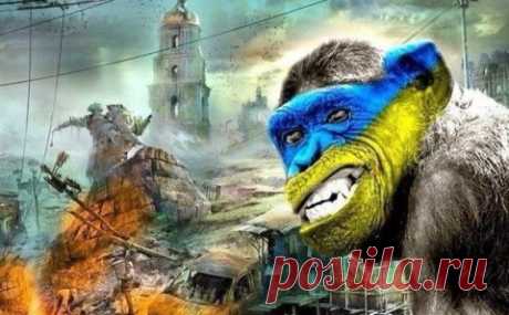о РОКОВОЙ ОШИБКЕ КИЕВА признались СЕГОДНЯ...**