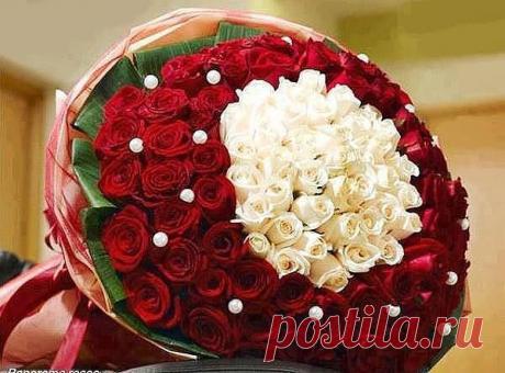 Красивые Цветы  Для Тебя