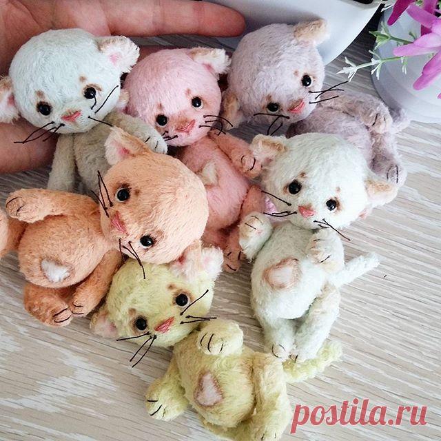 Добренькое)Покажу вам котодеток)Все свободны)Выбирайте себе питомца)Цена котёныша 3900р.В честь Дня Рождения моей Марусеньки оплатившим сегодня пересыл по РФ в ПОДАРОК!!!!!!
✔мятный дом нашел
✔розовый дом нашел
✔лавандовый дом нашел
✔лимонный дом нашел
✔оранжевый дом нашел
✔голубой дом нашел
#ирискин_котейка
#тэдди 
#тэддикот