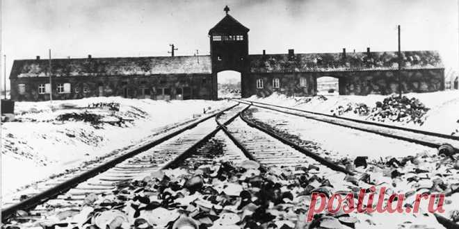 Вилла коменданта Аушвица впервые откроется для широкой публики.